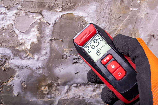 Best Mold Testing and Inspection Services in Kincheloe, MI