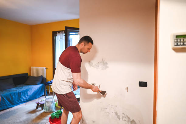 Kincheloe, MI Mold Remediation Company
